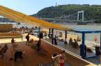 beachbarge-ed08.jpg