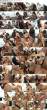 152710_bzv_mariah_milano_s.jpg