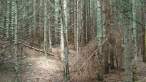DSC02310.jpg