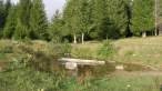 DSC02546.jpg