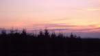DSC02597.jpg
