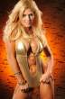 torrie_wilson_new_pics_images_5_big.jpg