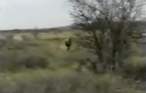 gh76.gif