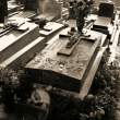 Grob Edith Piaf.jpg