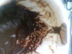 DSC00052.JPG