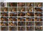 Julie_Benz-Dexter-04.avi.JPG