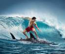 shark surfer.jpg