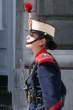Spanish Royal guard 7.jpg