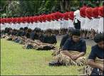 Fiji guard 17.jpg