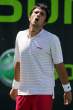 Janko-Tipsarevic009.jpg