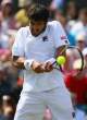Janko-Tipsarevic042.jpg