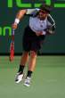 Janko-Tipsarevic096.jpg