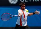 Janko-Tipsarevic107.jpg