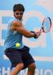 Janko-Tipsarevic143.jpg