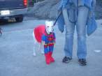 dressed_dog_19.jpg