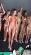 hillary-fisher-bikini-contest.jpg