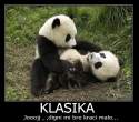 klasika.jpg