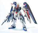 Gundam Master Grade Freedom Gundam Model Kit.jpg