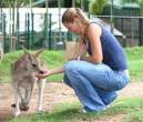 Jelena-Dokic-at-Lone-Pine-Koala-Sanctuary06-566x480.jpg