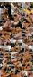 1629608_pf_sarah_jessie_tab.jpg