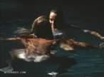 36572_dark_tide2_123_32lo.jpg