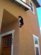 797c9aa2d960ec74cb30a683a5707afe.jpeg