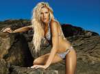 ana_hickman_swimsuit_2.jpg