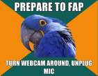 1296943821105_Paranoid_Parrot-s580x451-133382-580.jpg