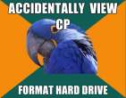 1296944006931_Paranoid_Parrot-s580x451-133383-580.jpg