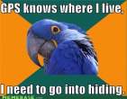 memes_gps_knows_where_i_live_i_need_to_go_into_hiding_Its_Another_New_Post_D-s500x389-129019-580.jpg