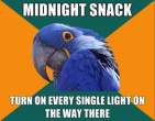 paranoid-parrot-meme-2.jpg