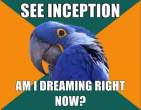 paranoid-parrot-meme-25.jpg