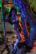 actiongirlsmoniquecolorjungle055.jpg