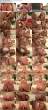 3246603_mfw_mia_lelani02-sd169_tab.jpg