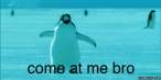 funny-pictures-gif-penguin-1.gif