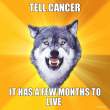 tell-cancer-it-has-a-few-months-to-live.jpg