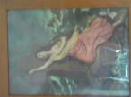 DSC00229.JPG