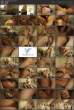 irileyspanties-sc1-riley-steele.avi.jpg