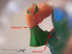 2SFsantaFig 06 r shm.jpg