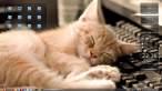 sleepy_kitty.jpeg