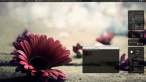 flower.jpeg