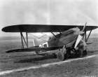 PW-8.jpg