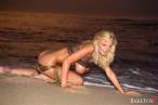 MichelleMarshBeachBabeFox3.jpg