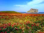 gorgeous_iranian_nature_photos_640_06.jpg