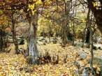 gorgeous_iranian_nature_photos_640_29.jpg