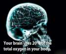 curious_facts_about_our_brain_640_13.jpg