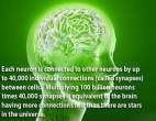 curious_facts_about_our_brain_640_14.jpg