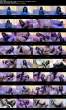 m1@.jpeg