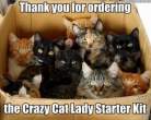 crazy cat lady.jpg