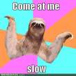 sloth 3.jpg